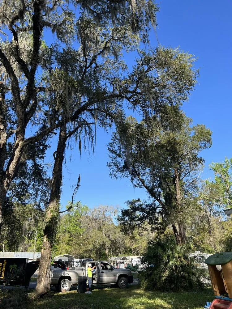 Affordable garden landscaping with custom design in Meadow Woods, FL by Sunny Dayz Tree And Landscape