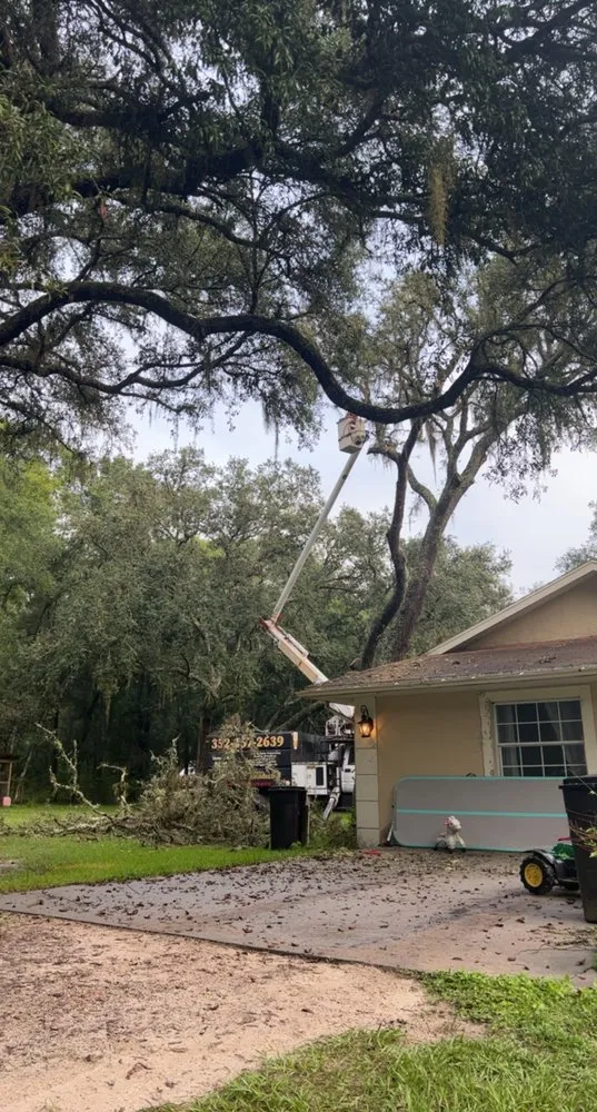 Expert yard cleanup service in Meadow Woods, FL by Sunny Dayz Tree And Landscape