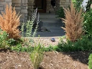 Top-rated garden landscaping for outdoor upgrades across Denver, CO - Sunny Daze Landscaping