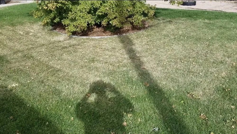 Reliable residential landscaping in Denver, CO by Sunny Daze Landscaping