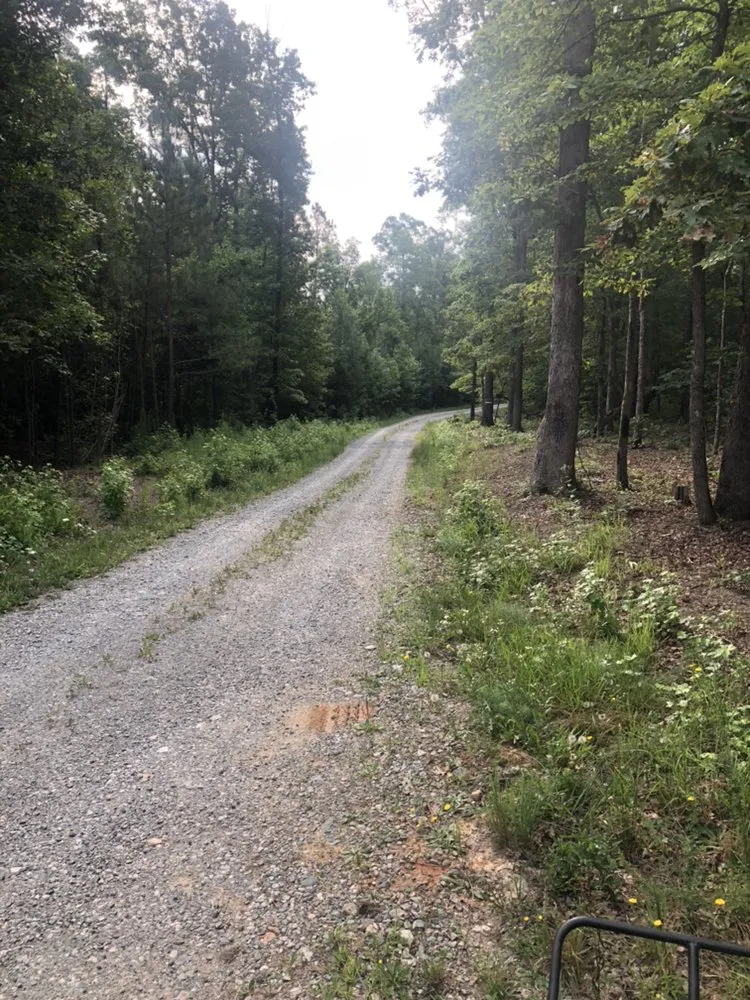 Trusted yard cleanup service in Amelia Court House, VA - Sunny Grove Services