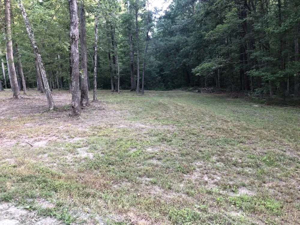 Professional landscaping services for outdoor upgrades in Amelia Court House, VA by Sunny Grove Services
