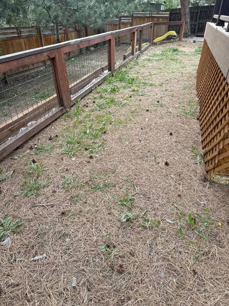 Expert yard maintenance for beautiful yards in Denver, CO by Sunny Horizon Landscape Development