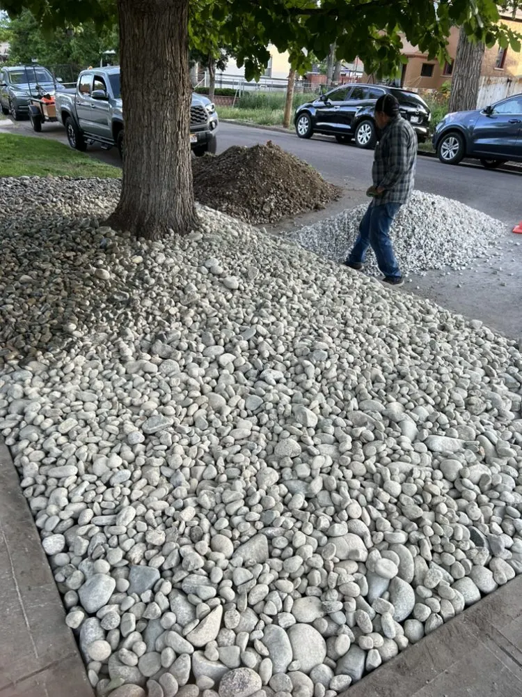 Local landscape installation in Denver, CO by Sunny Horizon Landscape Development