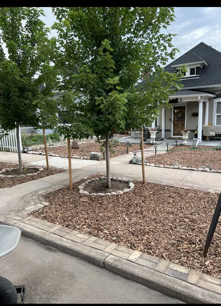 Professional landscape installation for residential properties across Denver, CO - Sunny Horizon Landscape Development