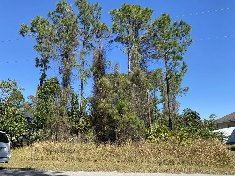 Trusted landscaping services experts serving Wilton Manors, FL - Sunny Horizon Landscaping