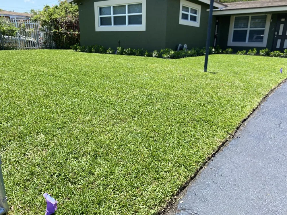 Affordable landscaping services in Wilton Manors, FL - Sunny Horizon Landscaping