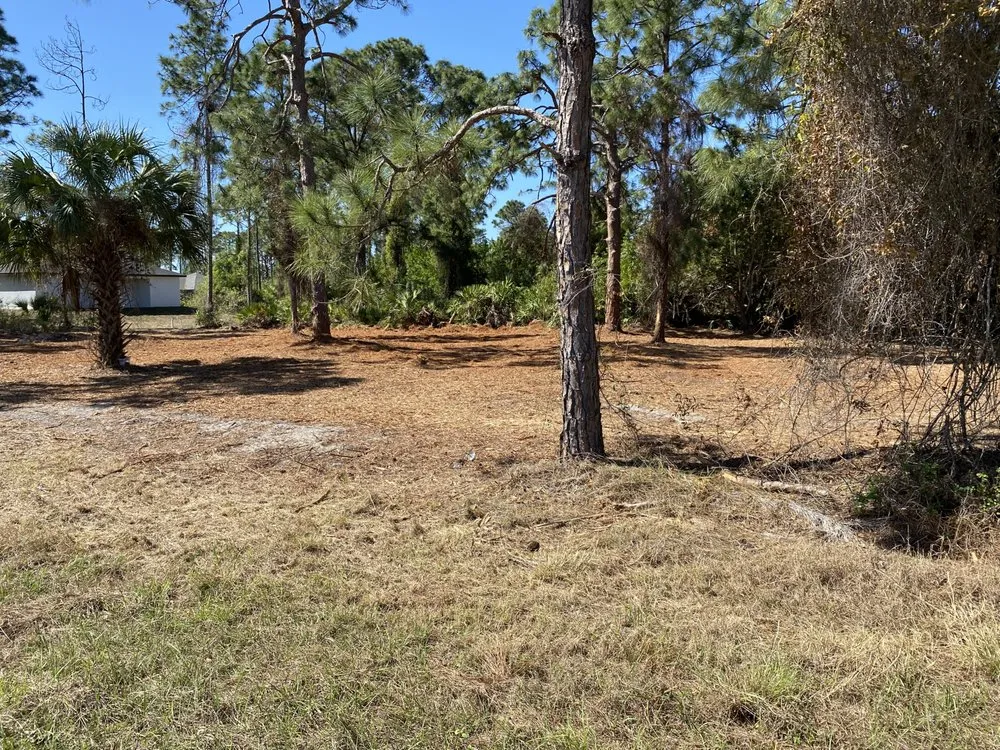 Affordable residential landscaping in Wilton Manors, FL - Sunny Horizon Landscaping