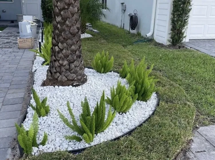 Reliable landscape installation for year-round maintenance across Wilton Manors, FL - Sunny Horizon Landscaping