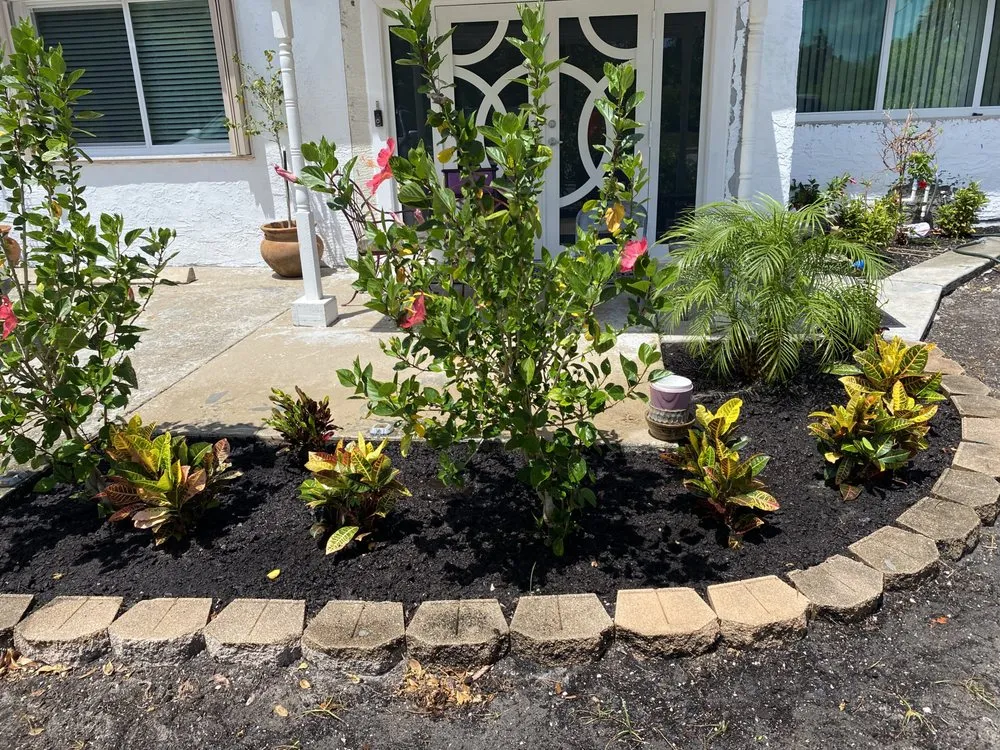 Trusted landscape installation in Wilton Manors, FL - Sunny Horizon Landscaping