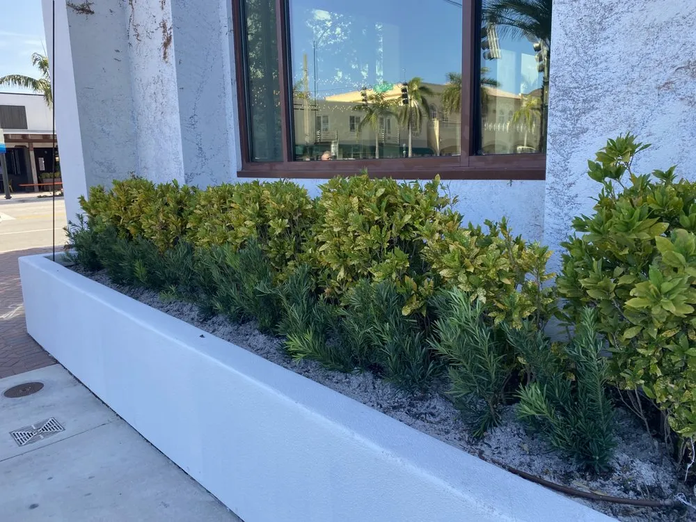 Custom garden landscaping for outdoor upgrades in Wilton Manors, FL by Sunny Horizon Landscaping