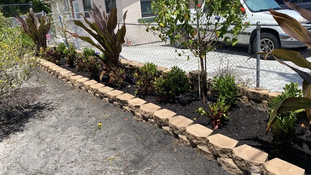 Reliable yard cleanup service in Wilton Manors, FL by Sunny Horizon Landscaping