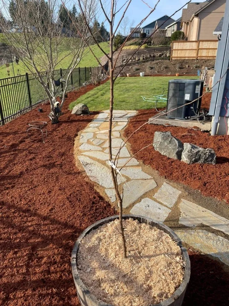 Expert landscaping services near you in Springfield, OR by Sunny Landscape Construction