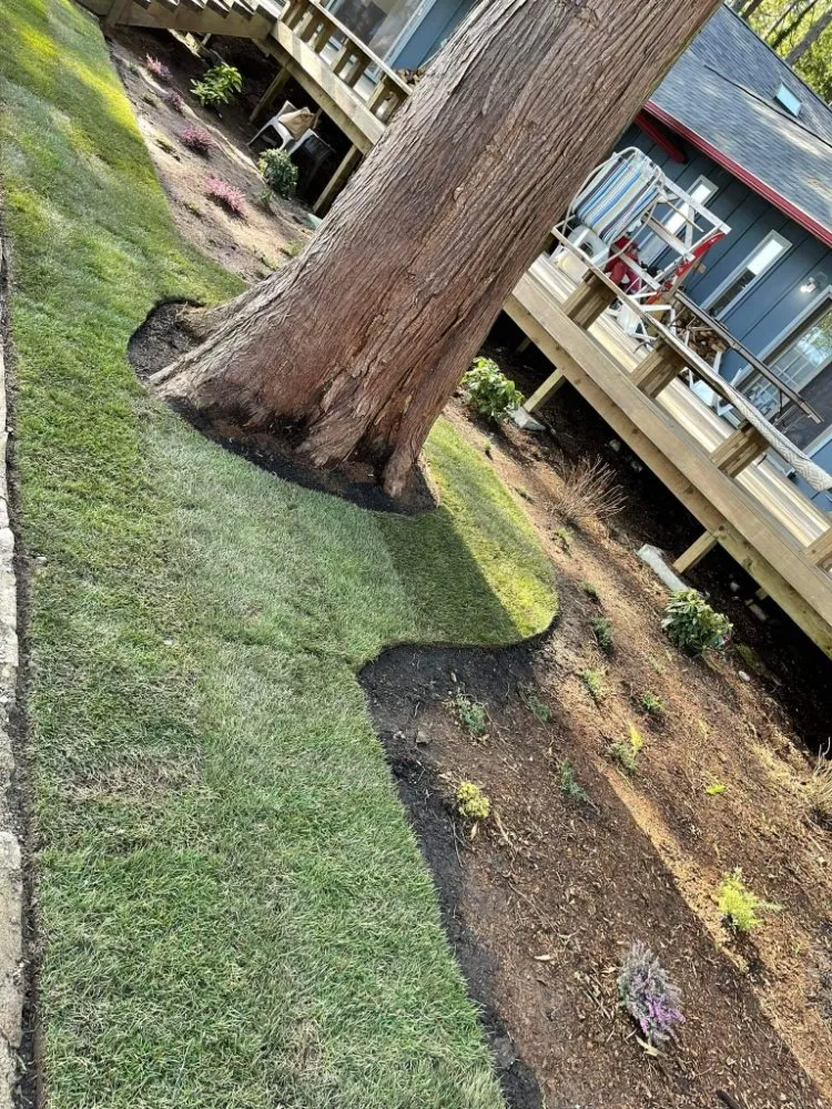 Expert outdoor landscaping for homes across Springfield, OR - Sunny Landscape Construction