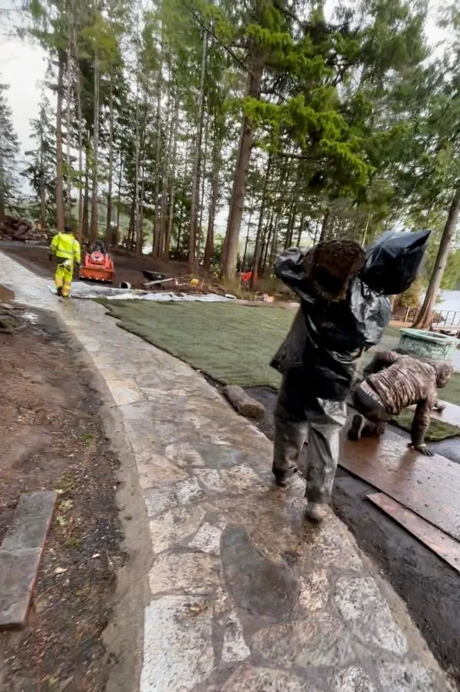 Trusted lawn mowing service in Springfield, OR by Sunny Landscape Construction