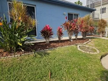 Affordable landscape design in Bradenton, FL - Sunny Landscapes