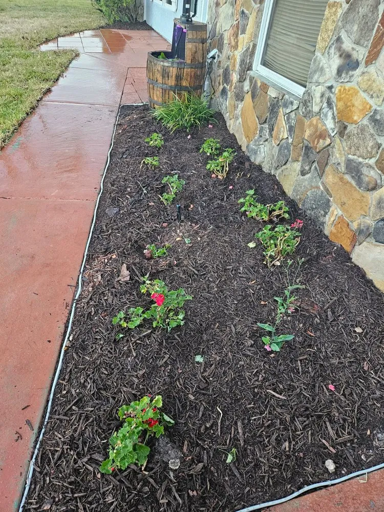 Local garden landscaping for beautiful yards in Bradenton, FL by Sunny Landscapes