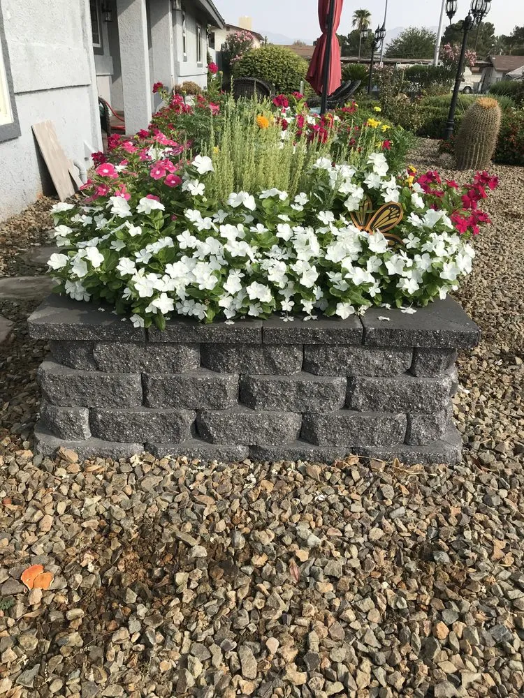 Professional outdoor landscaping in Las Vegas, NV by Sunny Landscaping & Pavers Design