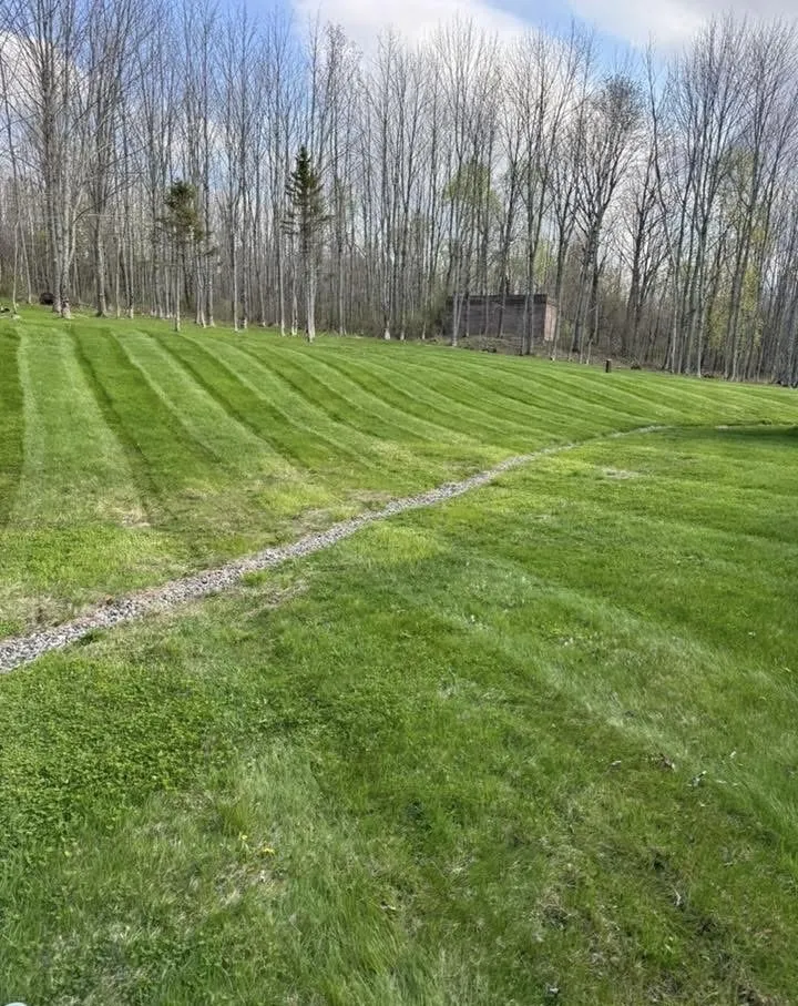 Reliable lawn care service for residential properties in Henrico, VA by Sunny Landscaping