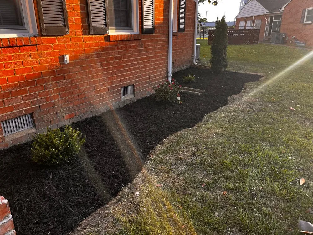 Reliable yard cleanup service in Henrico, VA by Sunny Landscaping