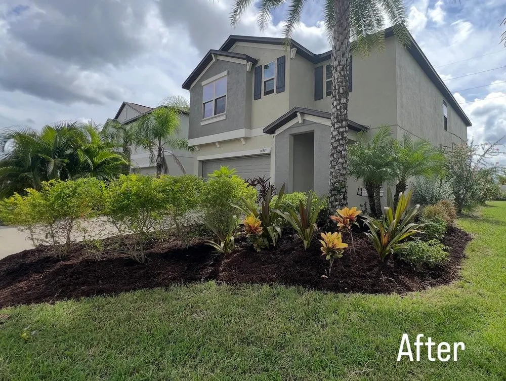 Professional outdoor landscaping for homes across Wimauma, FL - Sunny Lillie’s & Joy