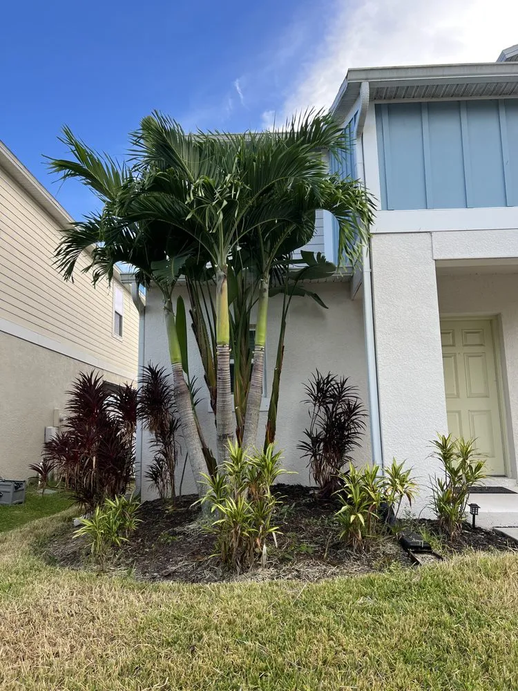 Trusted lawn mowing service for outdoor upgrades in Wimauma, FL by Sunny Lillie’s & Joy