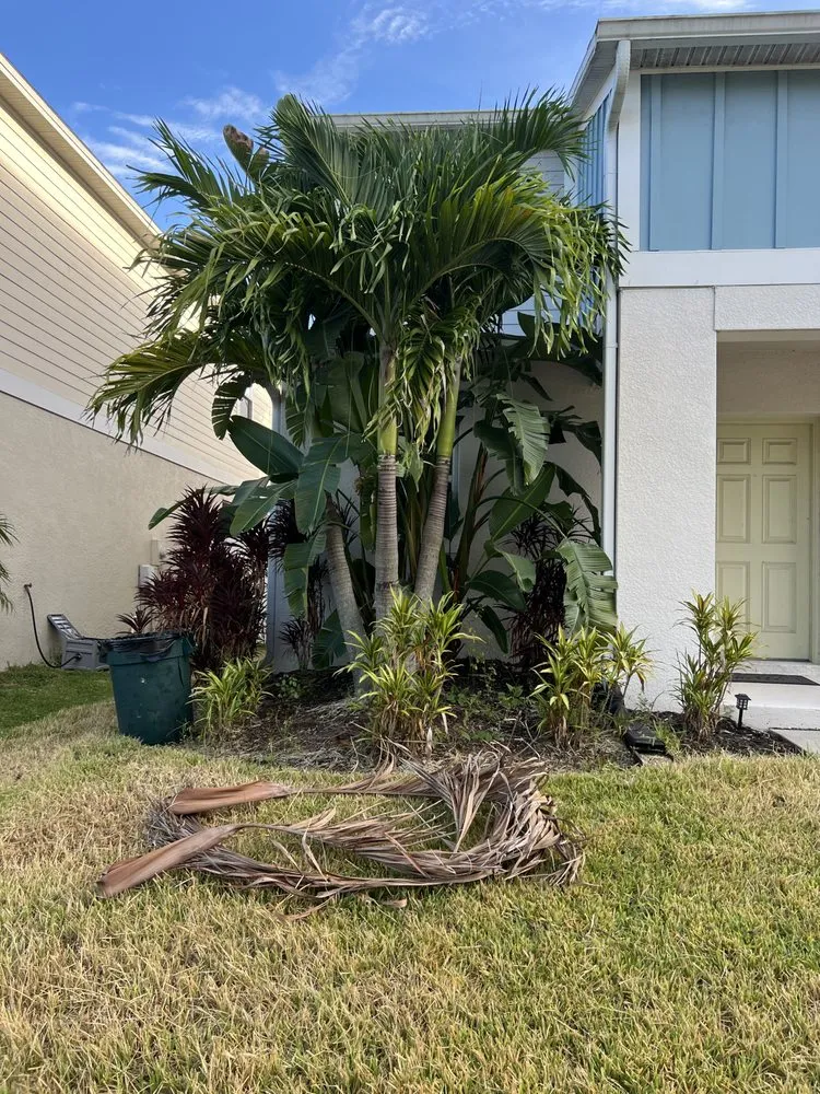 Trusted residential landscaping experts serving Wimauma, FL - Sunny Lillie’s & Joy