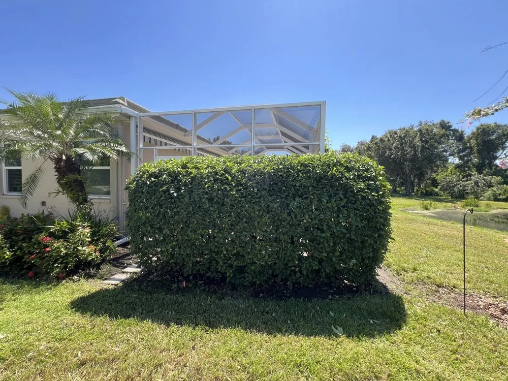 Trusted landscape installation in Wimauma, FL - Sunny Lillie’s & Joy