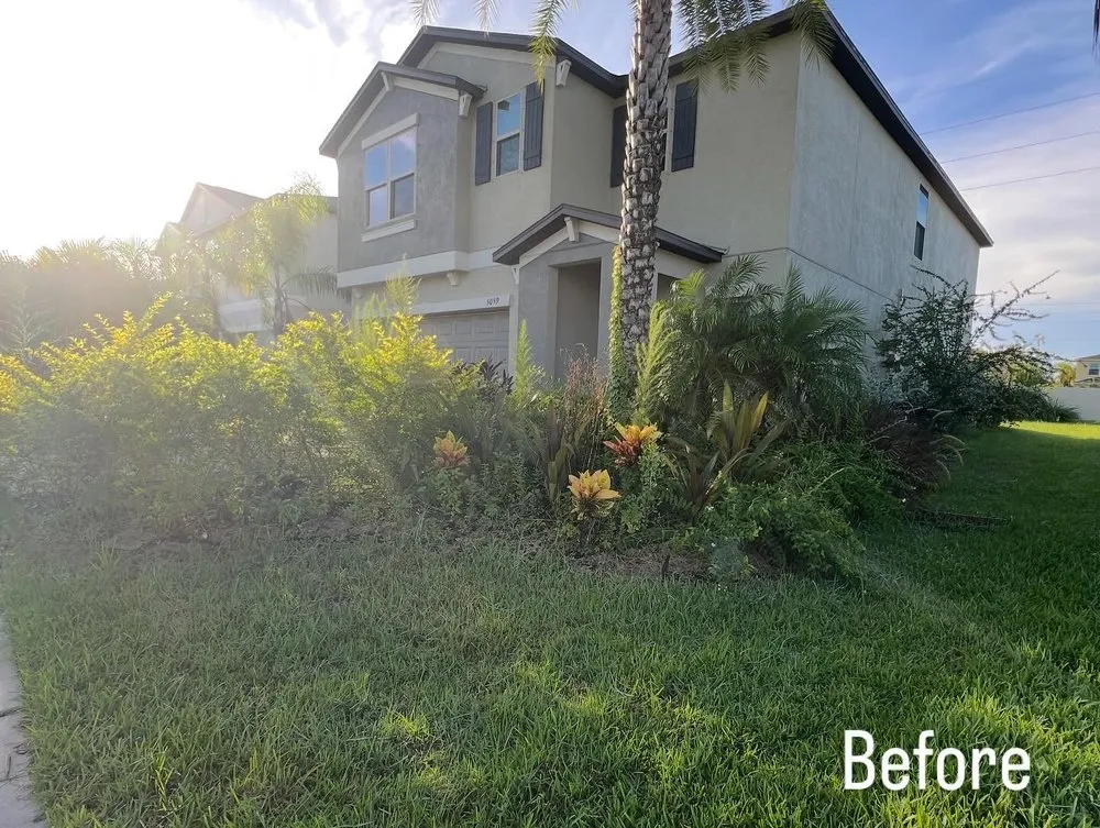 Trusted yard cleanup service experts serving Wimauma, FL - Sunny Lillie’s & Joy
