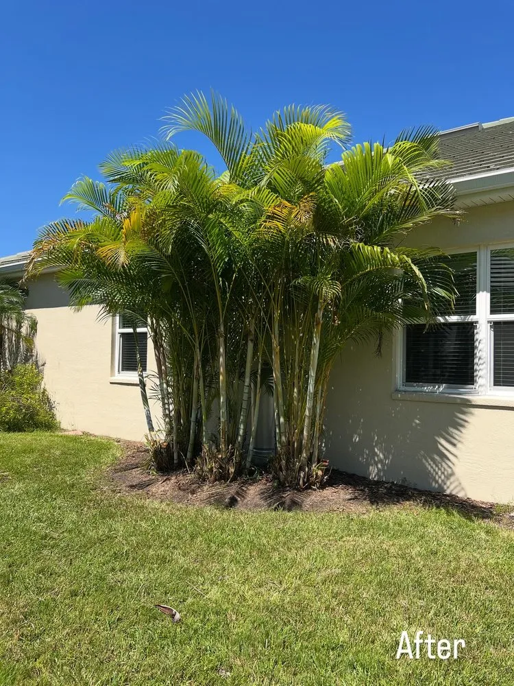 Reliable landscape installation for outdoor upgrades in Wimauma, FL by Sunny Lillie’s & Joy
