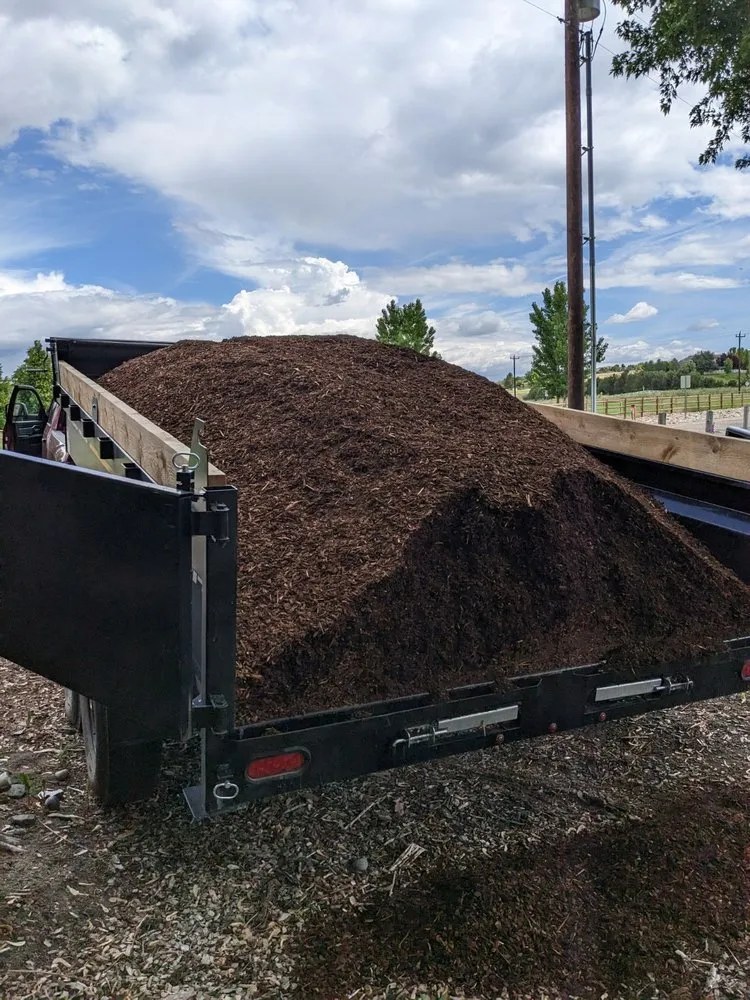 Top-rated residential landscaping for beautiful yards across Boise, ID - Sunny Meadows