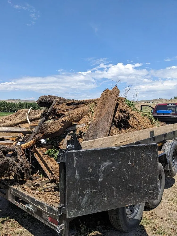 Affordable landscaping services for year-round maintenance in Boise, ID by Sunny Meadows