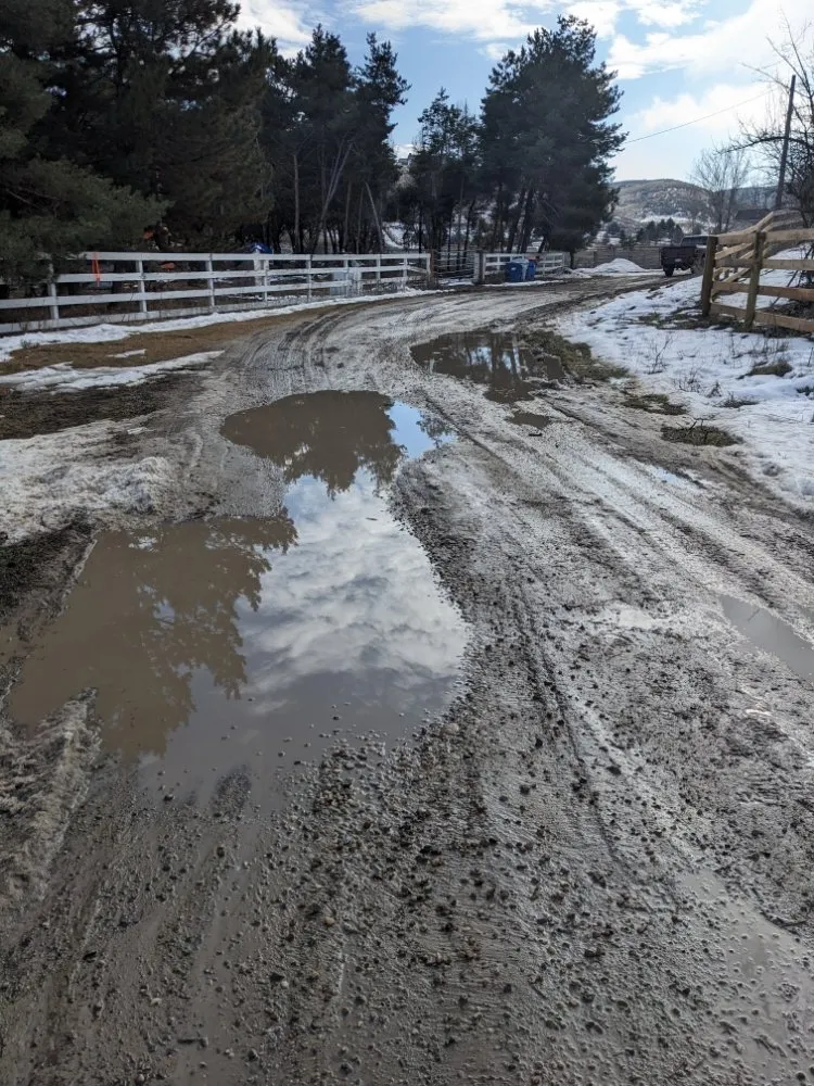 Expert yard cleanup service for residential properties across Boise, ID - Sunny Meadows