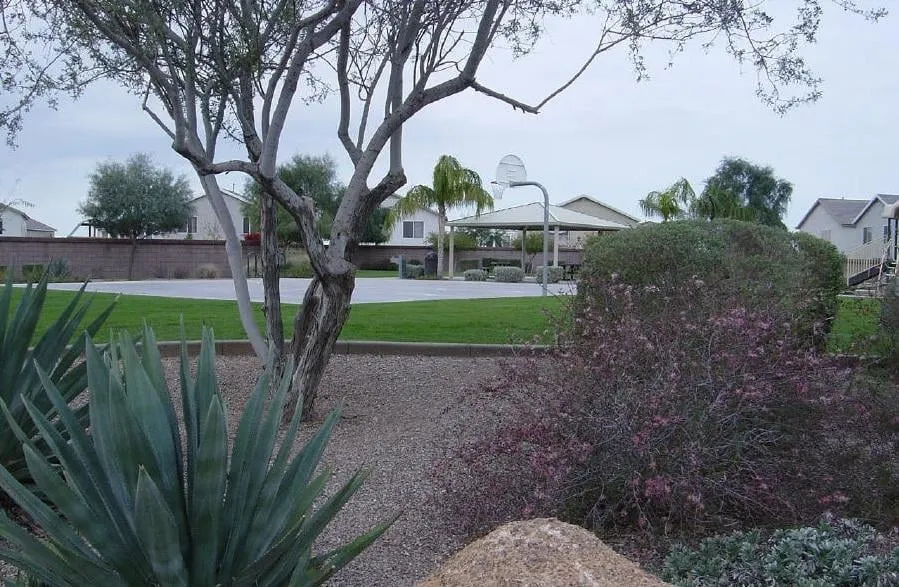 Professional outdoor landscaping in Mesa, AZ by Sunny Mesa Landscaping