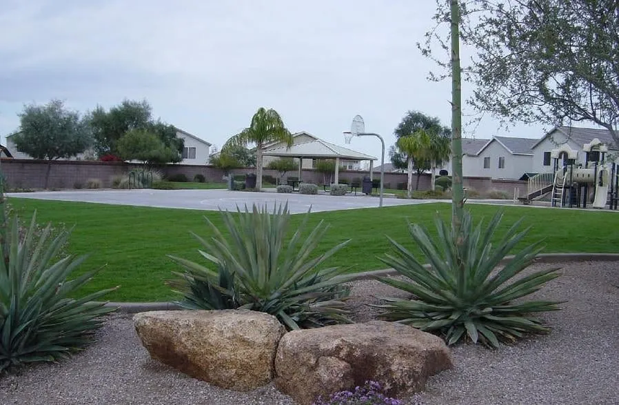 Top-rated yard cleanup service experts serving Mesa, AZ - Sunny Mesa Landscaping