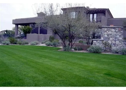 Trusted garden landscaping in Mesa, AZ - Sunny Mesa Landscaping