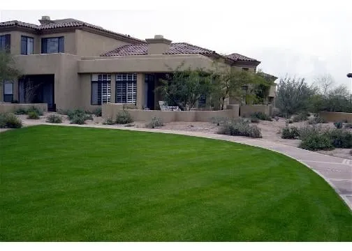 Top-rated landscape installation with custom design in Mesa, AZ by Sunny Mesa Landscaping