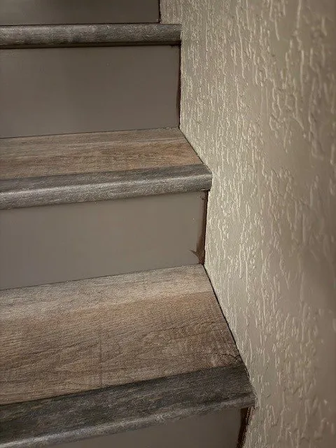 Top-rated lawn mowing service with custom design across Everett, WA - Sunny Seattle Landscaping