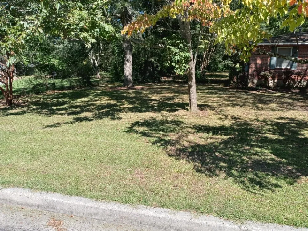 Custom yard maintenance experts serving Jonesboro, GA - Sunny Side Landscaping