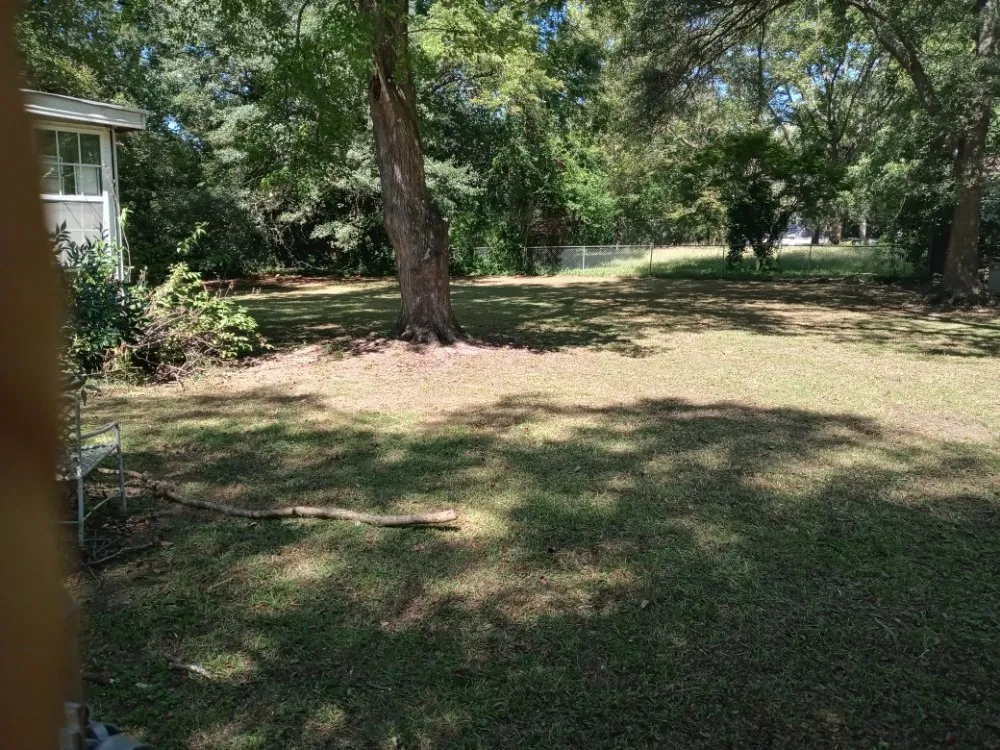 Local landscaping services for outdoor upgrades in Jonesboro, GA by Sunny Side Landscaping