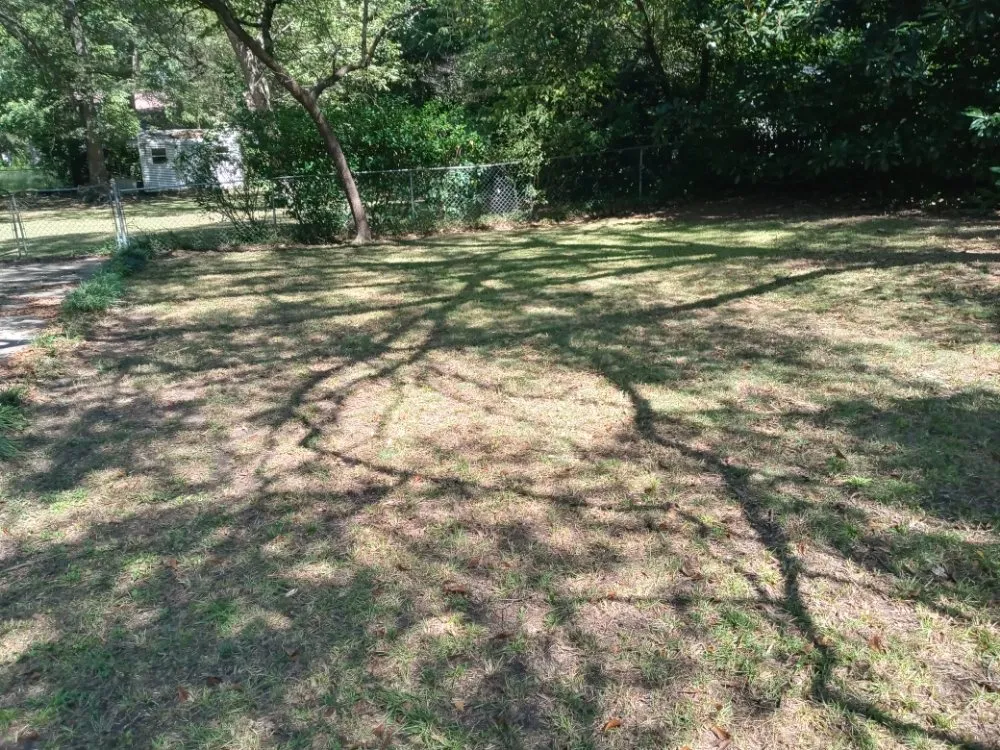 Local yard maintenance experts serving Jonesboro, GA - Sunny Side Landscaping