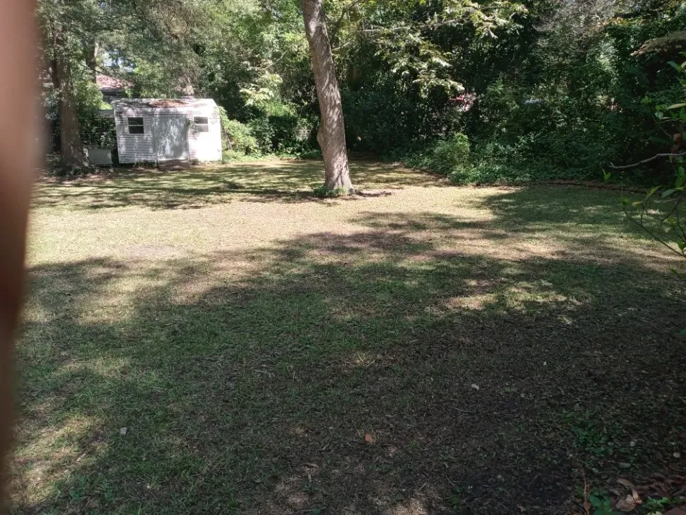 Top-rated garden landscaping in Jonesboro, GA by Sunny Side Landscaping