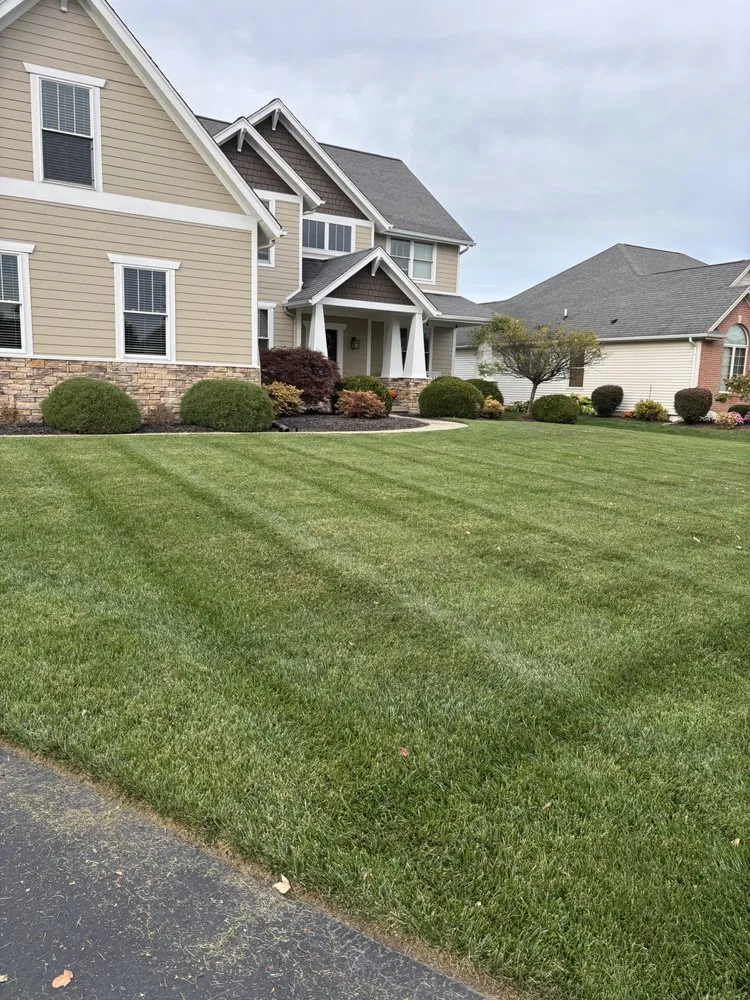Reliable yard cleanup service for beautiful yards in Sylvania, OH by Sunny Side Lawn Care