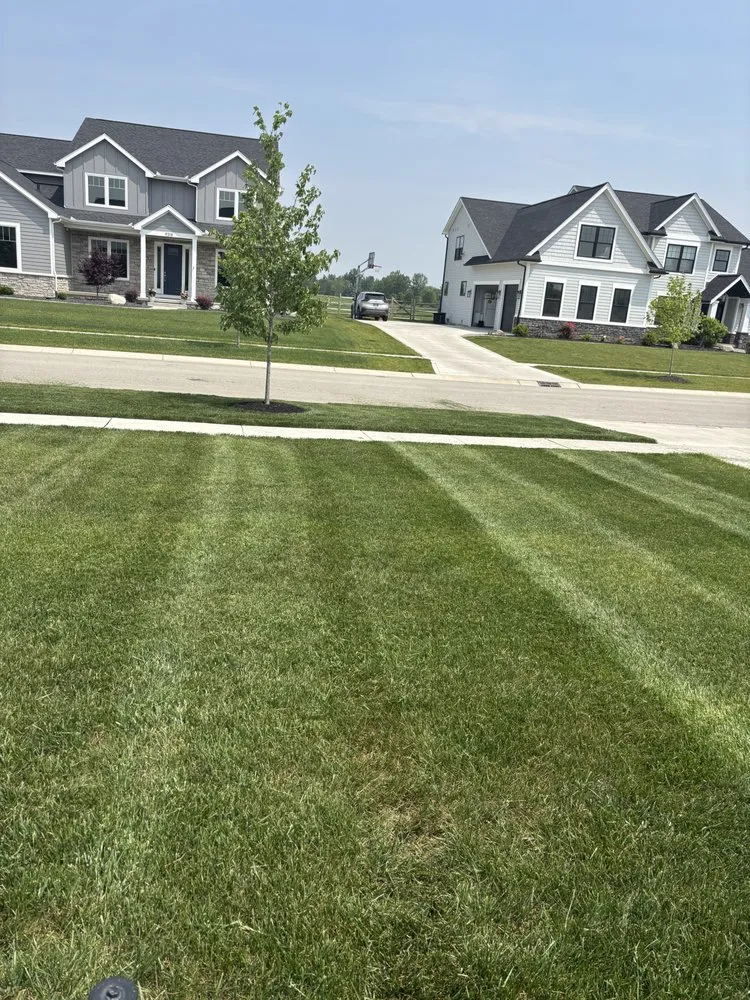 Professional landscape installation in Sylvania, OH - Sunny Side Lawn Care