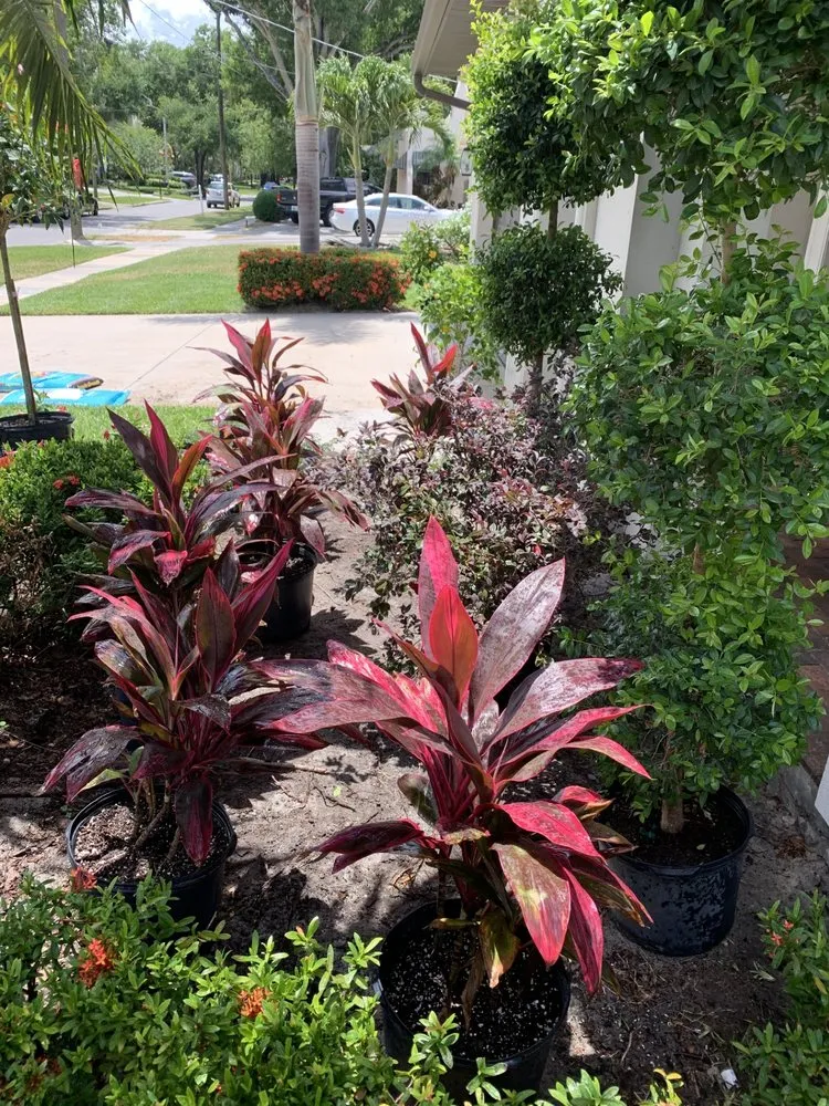 Local landscaping services in Palmetto, FL by Sunny Site Services