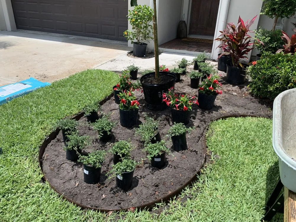 Trusted yard cleanup service in Palmetto, FL - Sunny Site Services