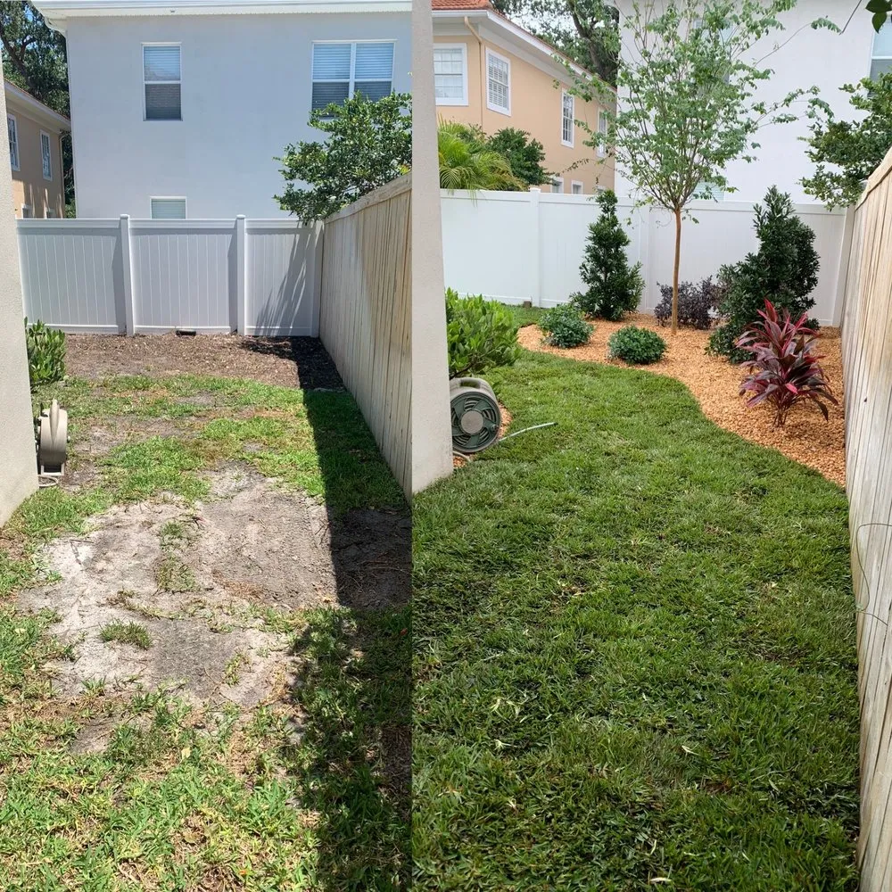 Trusted yard cleanup service near you in Palmetto, FL by Sunny Site Services