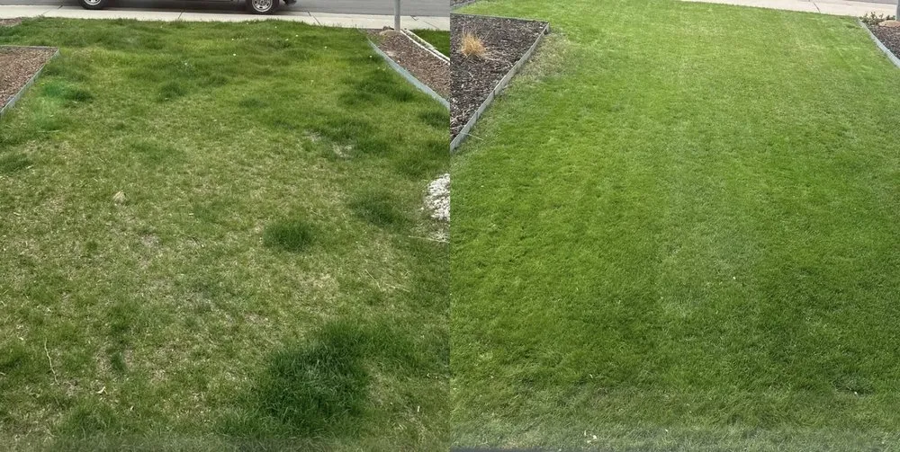 Custom landscaping services with custom design in Palmetto, FL by Sunny Site Services