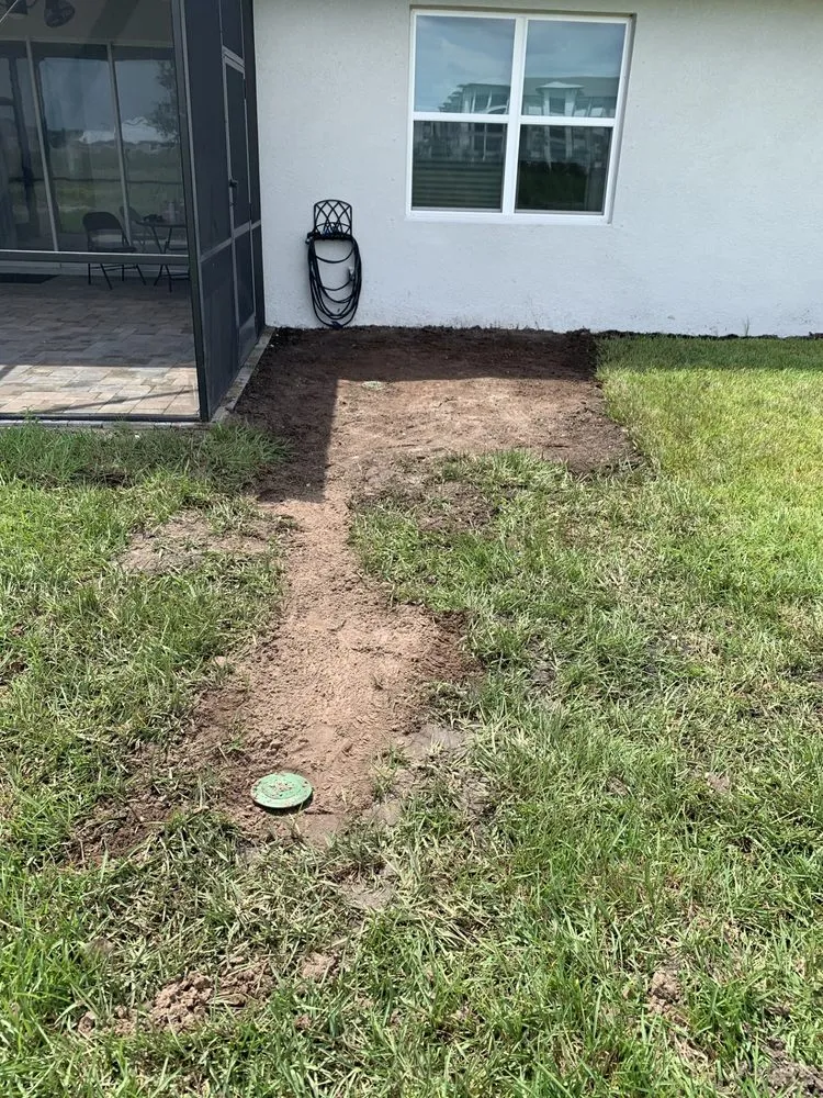 Top-rated yard cleanup service in Palmetto, FL - Sunny Site Services