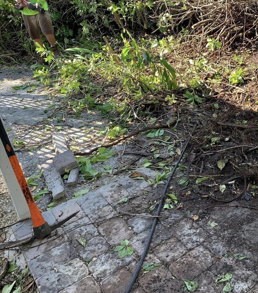 Affordable landscape design in Palmetto, FL by Sunny Site Services